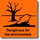 Dangerous For The Environment